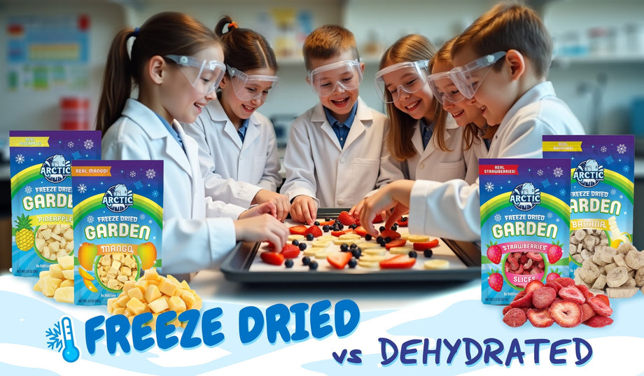 The Science of Freeze-Drying: How We Preserve Flavor & Nutrition