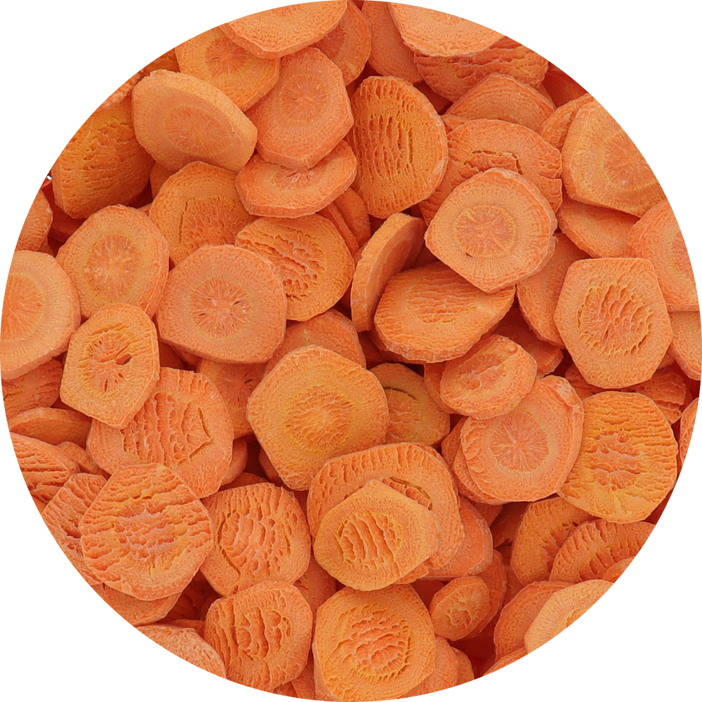 Freeze Dried Carrot Chips Top View