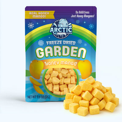 Freeze Dried Organic Honey Mango — image 1 of 11