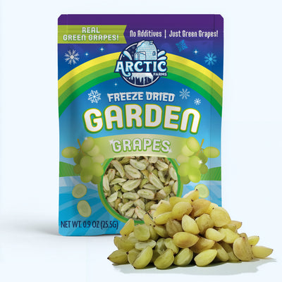 Freeze Dried Green Grapes — image 1 of 8