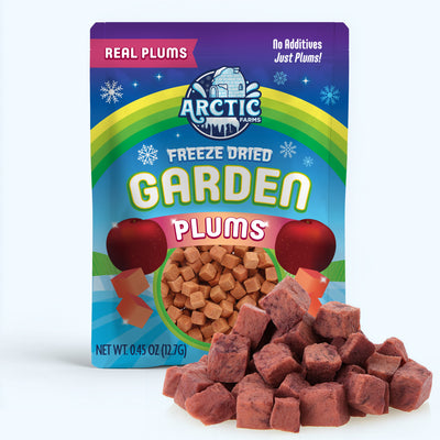 Freeze Dried Plum — image 1 of 8