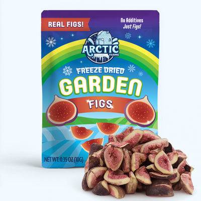 Freeze Dried Figs — image 1 of 10