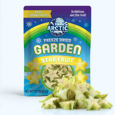 Freeze Dried Starfruit — image 1 of 9