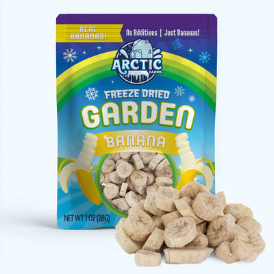 Freeze Dried Banana Chips — image 1 of 10