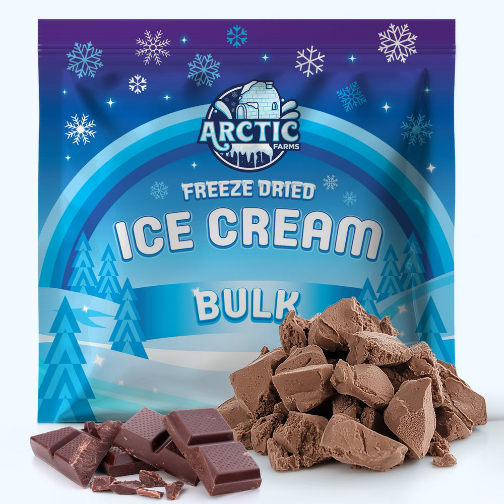 Freeze Dried Chocolate Ice Cream Bulk