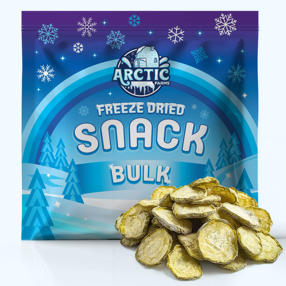 Freeze Dried Dill Pickle Chips BULK
