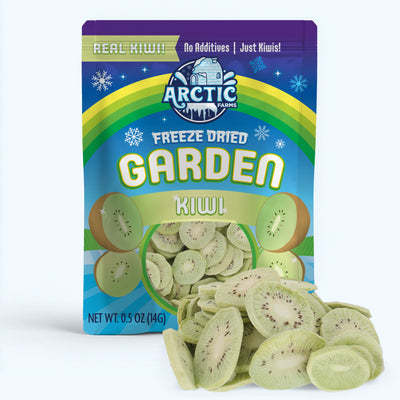 Freeze Dried Green Kiwi — image 1 of 9