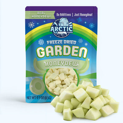 Freeze Dried Honeydew Melon — image 1 of 9