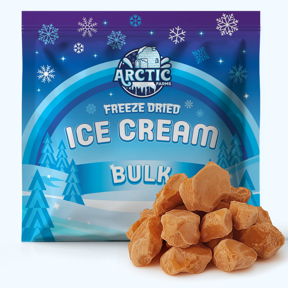 Freeze Dried Pumpkin Pie Ice Cream Bulk