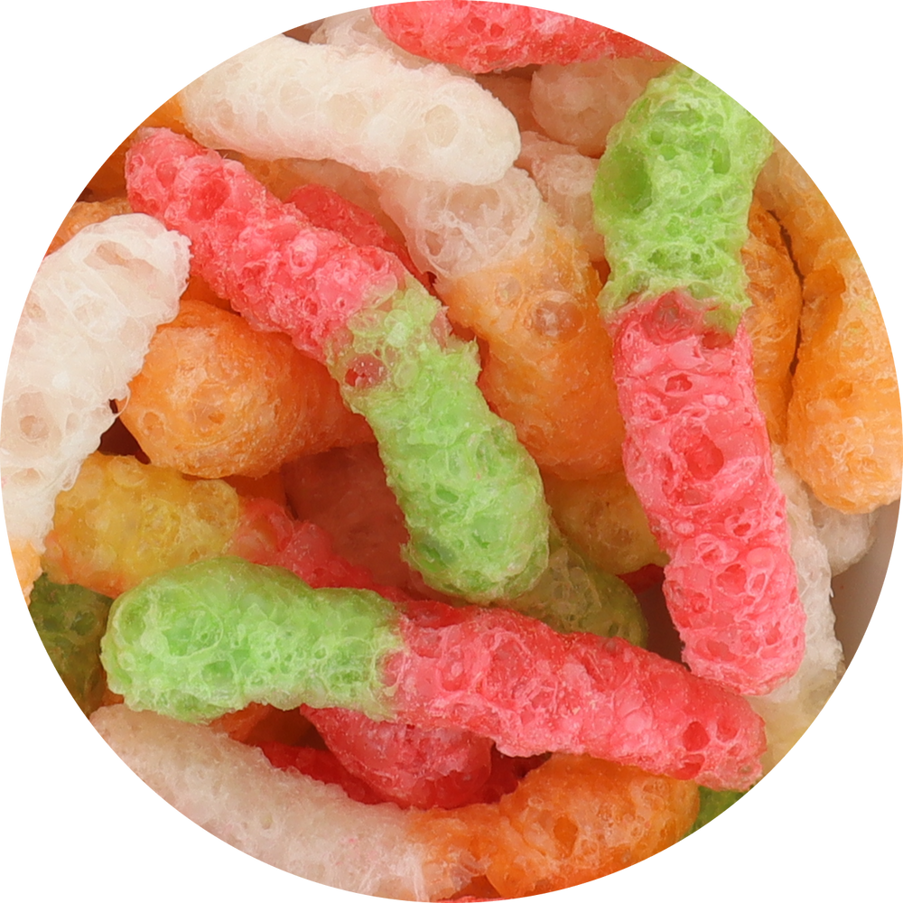 Gummy_Worms_Assorted_1.7oz2