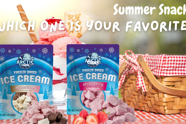 Freeze Dried Ice Cream - Summer Snacks!