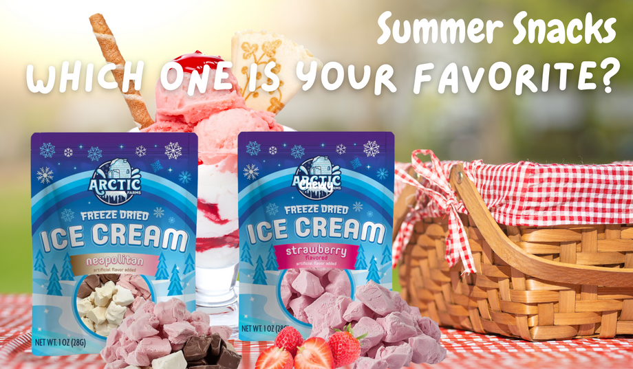 Freeze Dried Ice Cream - Summer Snacks!