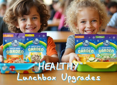 Easy & Nutritious School Lunch Ideas Using Arctic Farms Freeze-Dried Snacks