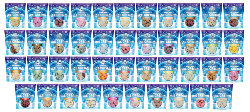 Freeze Dried Ice Cream Bundle (1oz Bags)