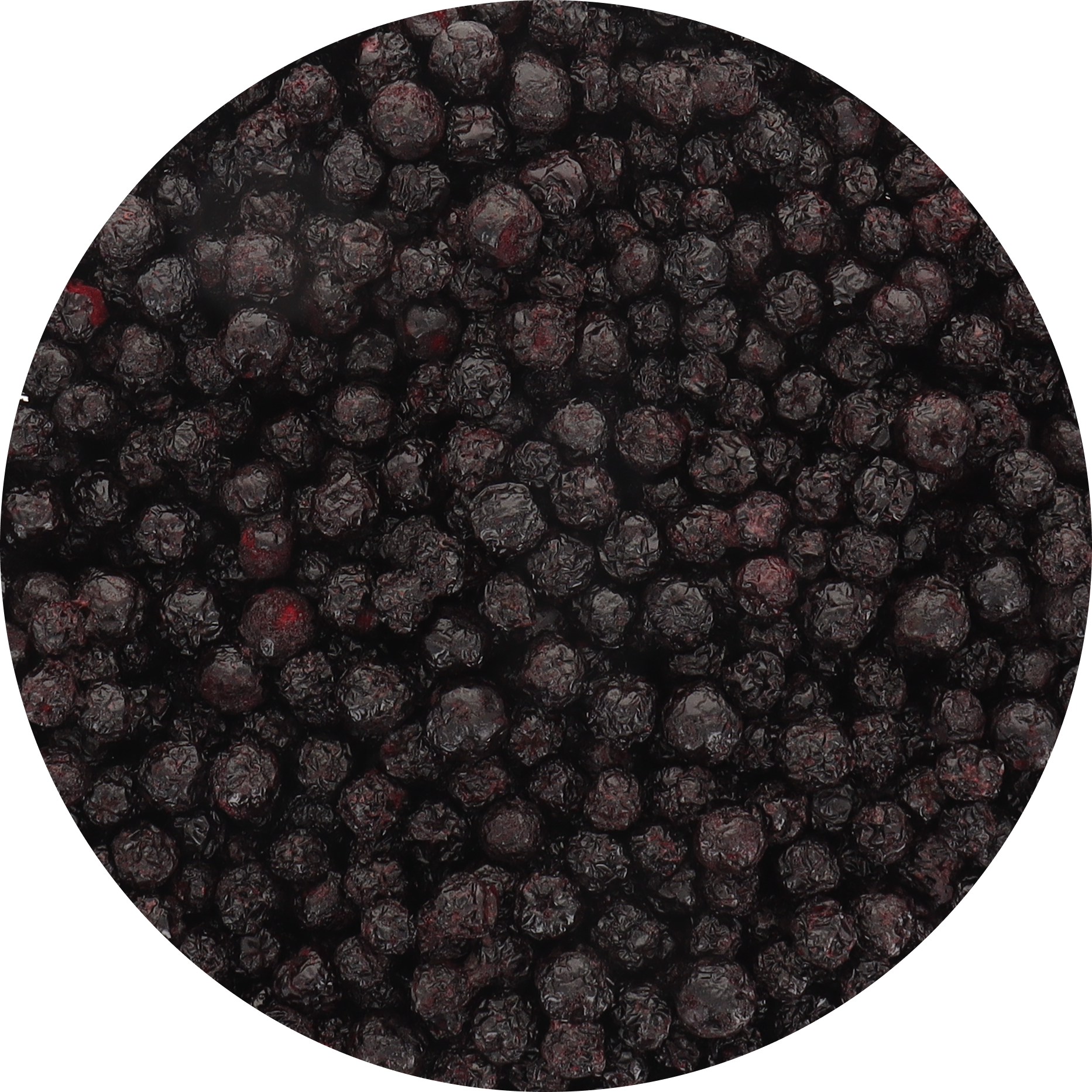 Freeze Dried Organic Aronia Berries
