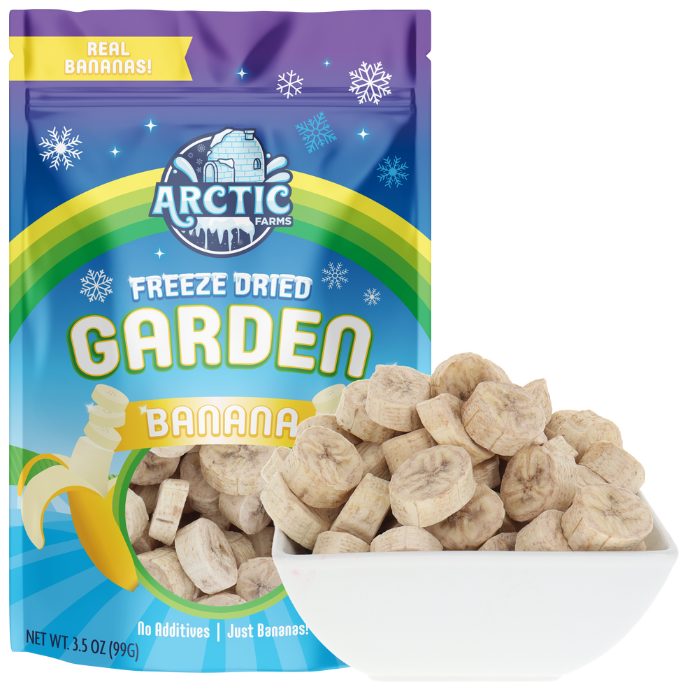 Freeze Dried Banana Chips Bowl with Bag