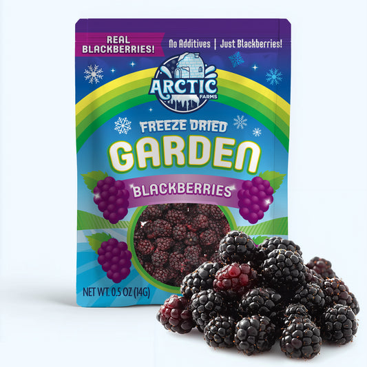 Freeze Dried Blackberry