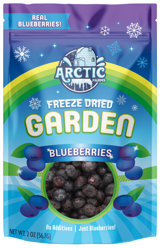 Freeze Dried Blueberry Blueberries Bag Large