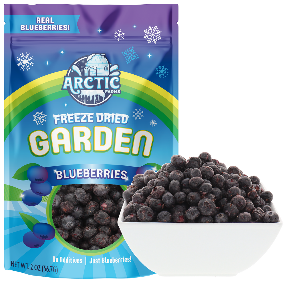 Freeze Dried Blueberry Blueberries Bag Large with Bowl