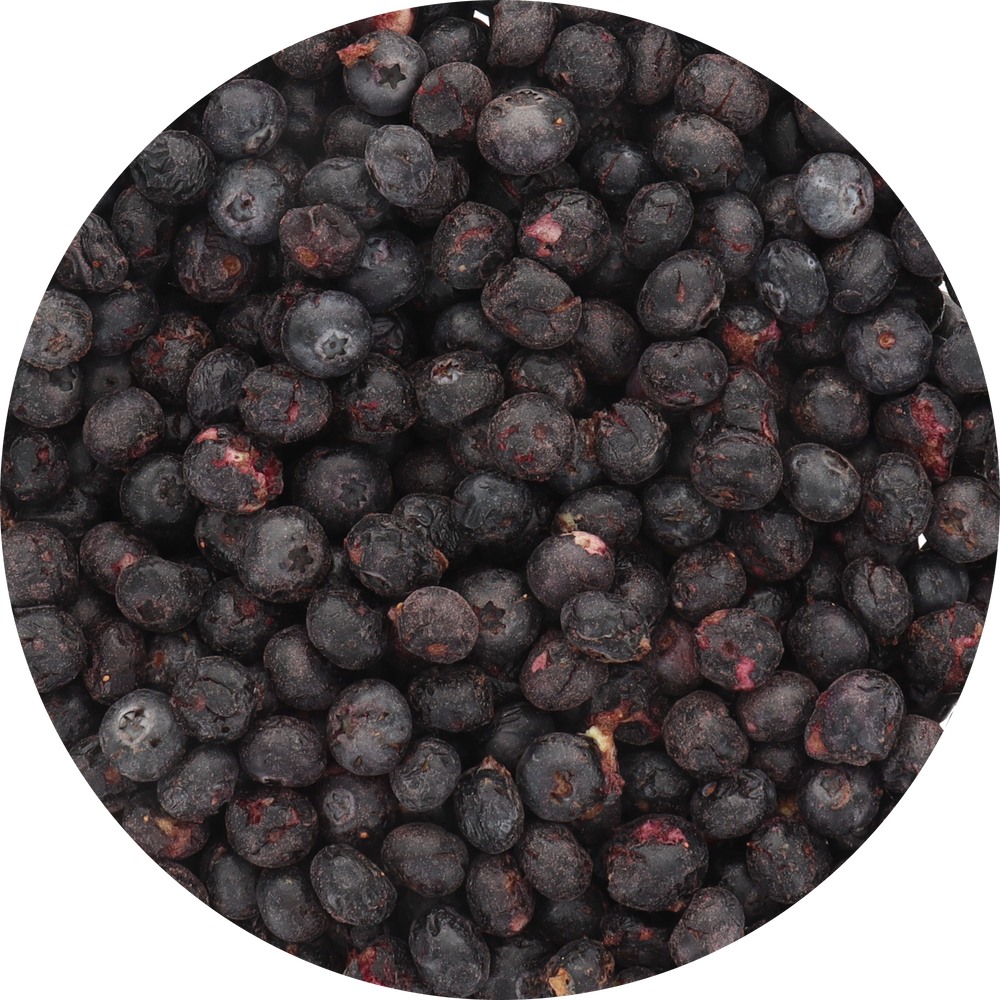 Freeze Dried Blueberry Blueberries Top View