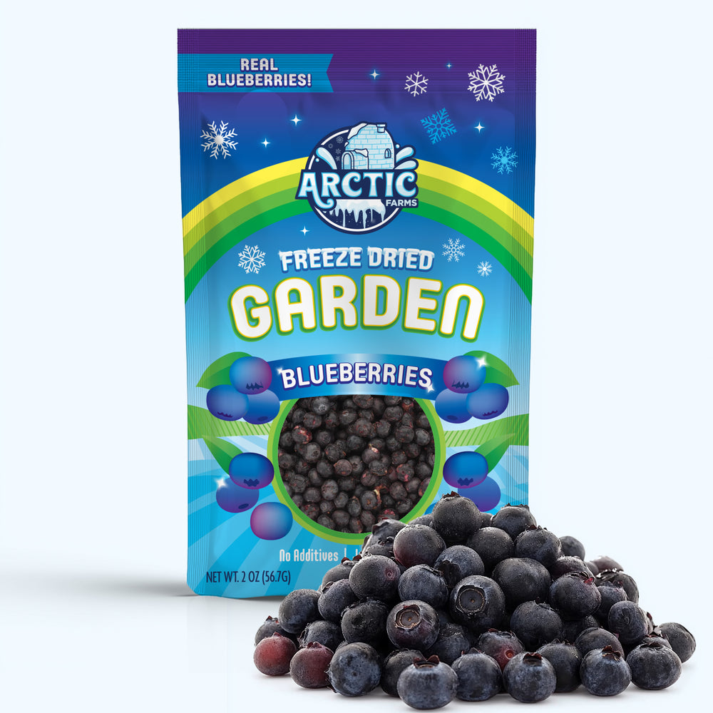 Freeze Dried Blueberries