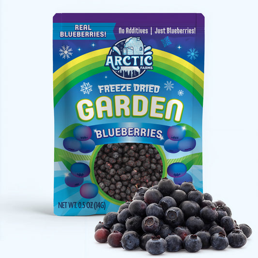 Freeze Dried Blueberries