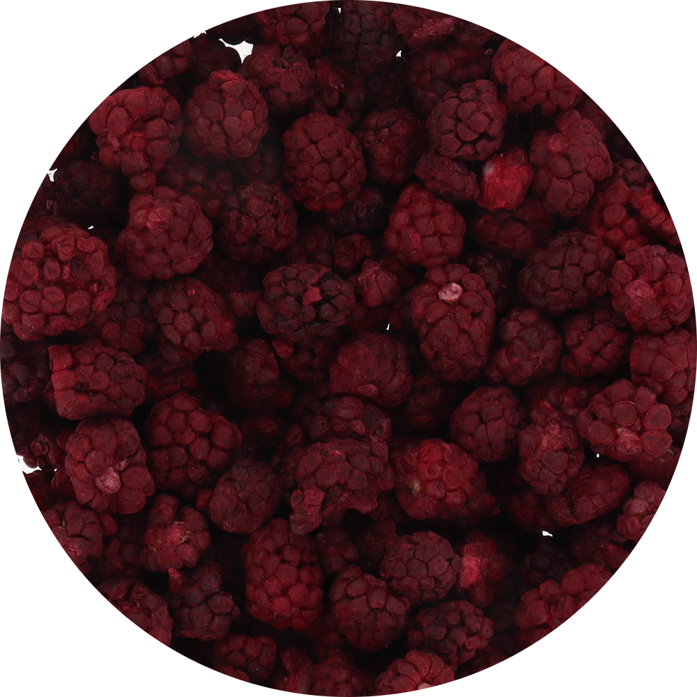 Freeze Dried Boysenberry