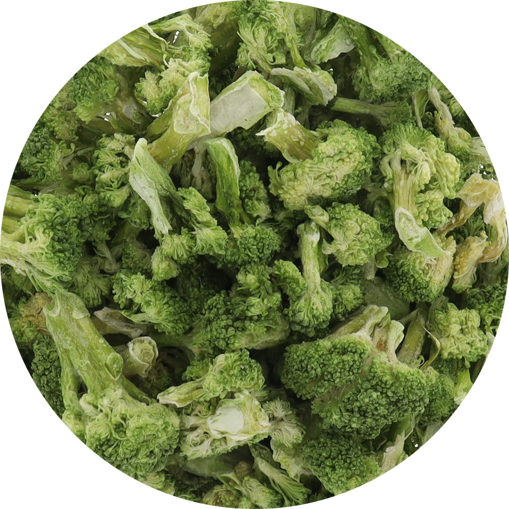 Freeze Dried Broccoli Top view