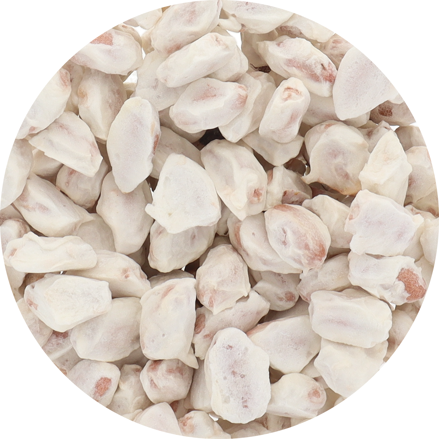 Freeze Dried Cacao Fruit
