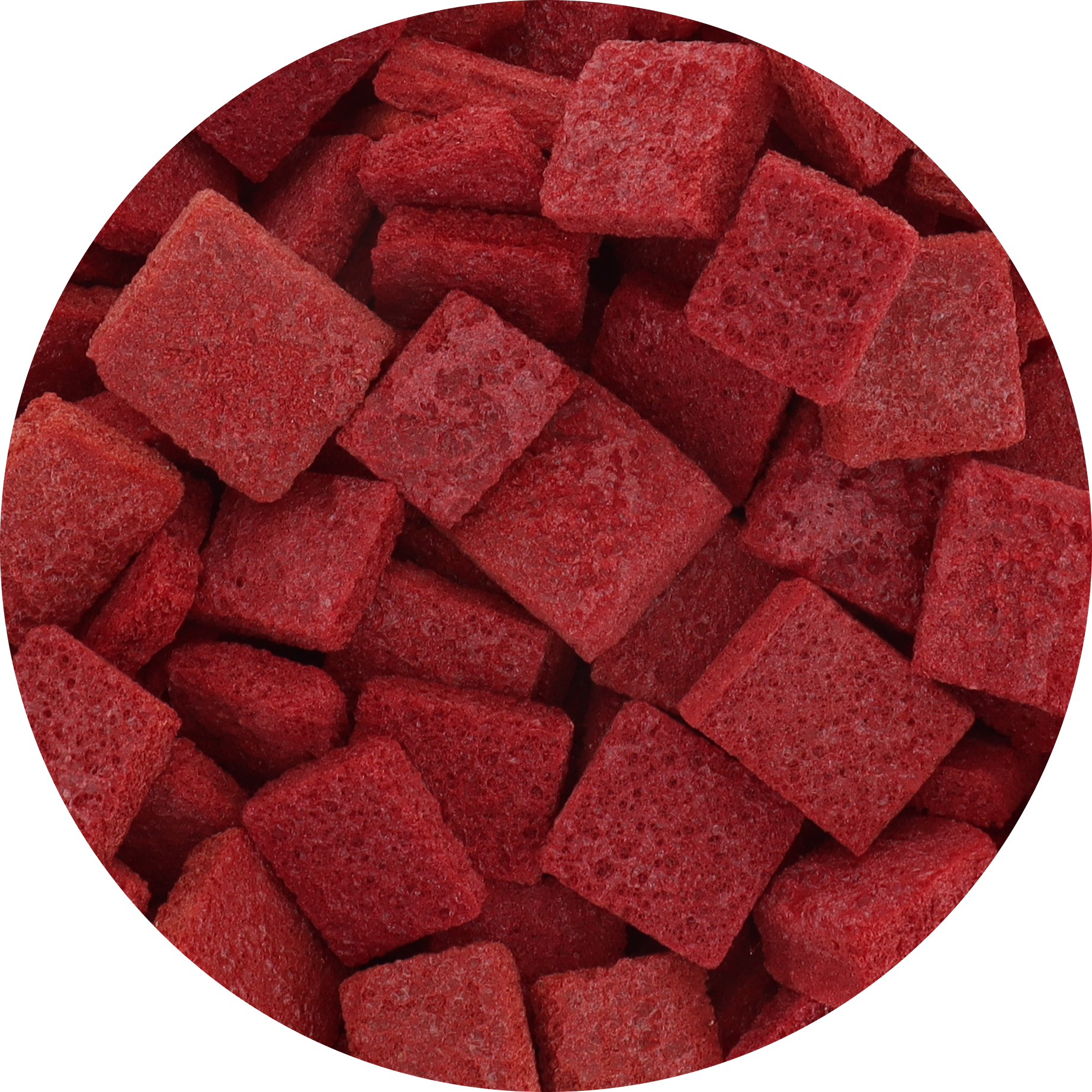 freeze dried nopal cactus prickly pear Freeze Dried Cactus Fruit (Prickly Pear)