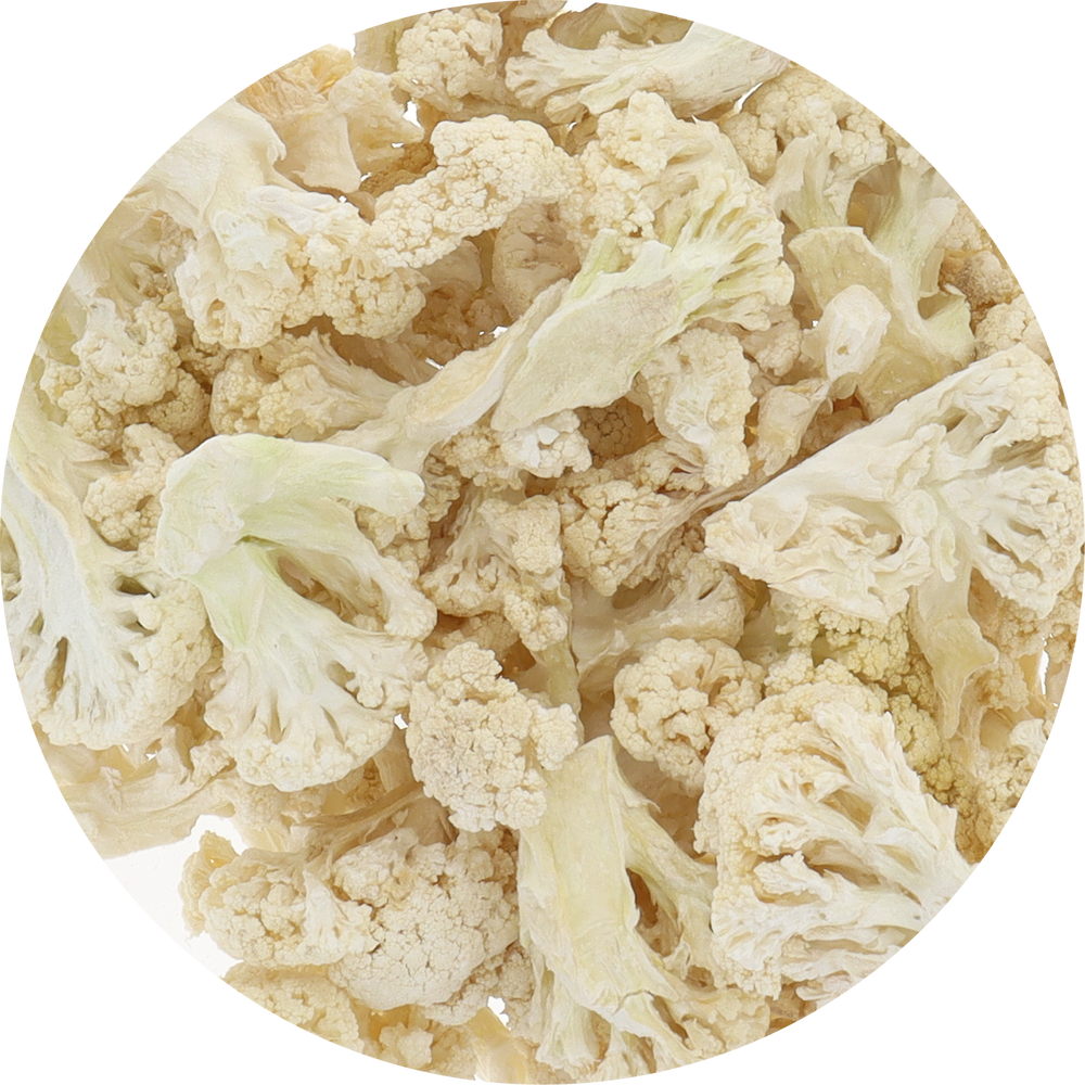 Freeze Dried Cauliflower Top View