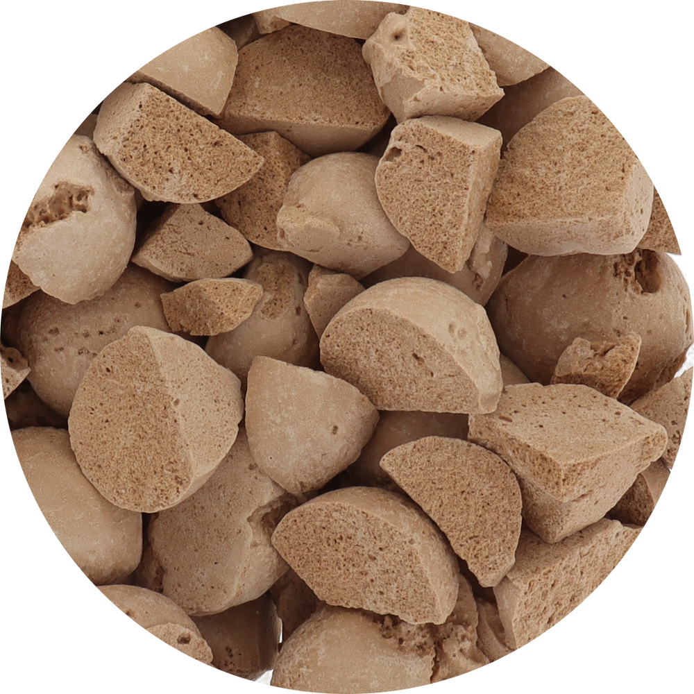 Freeze Dried Cappuccino Ice Cream