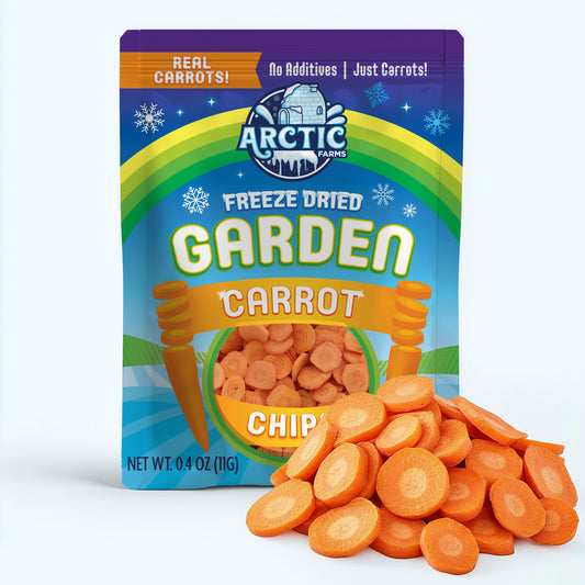 Freeze Dried Carrot Chips