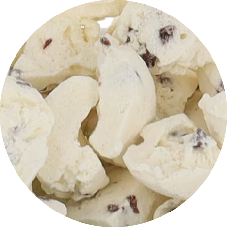 Freeze Dried Chocolate Chip Ice Cream
