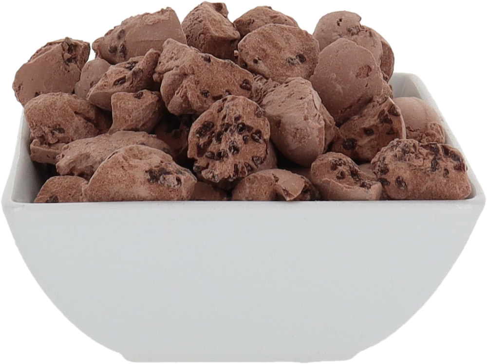 Freeze Dried Chocolate Chocolate Chip Ice Cream