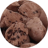Freeze Dried Chocolate Chocolate Chip Ice Cream