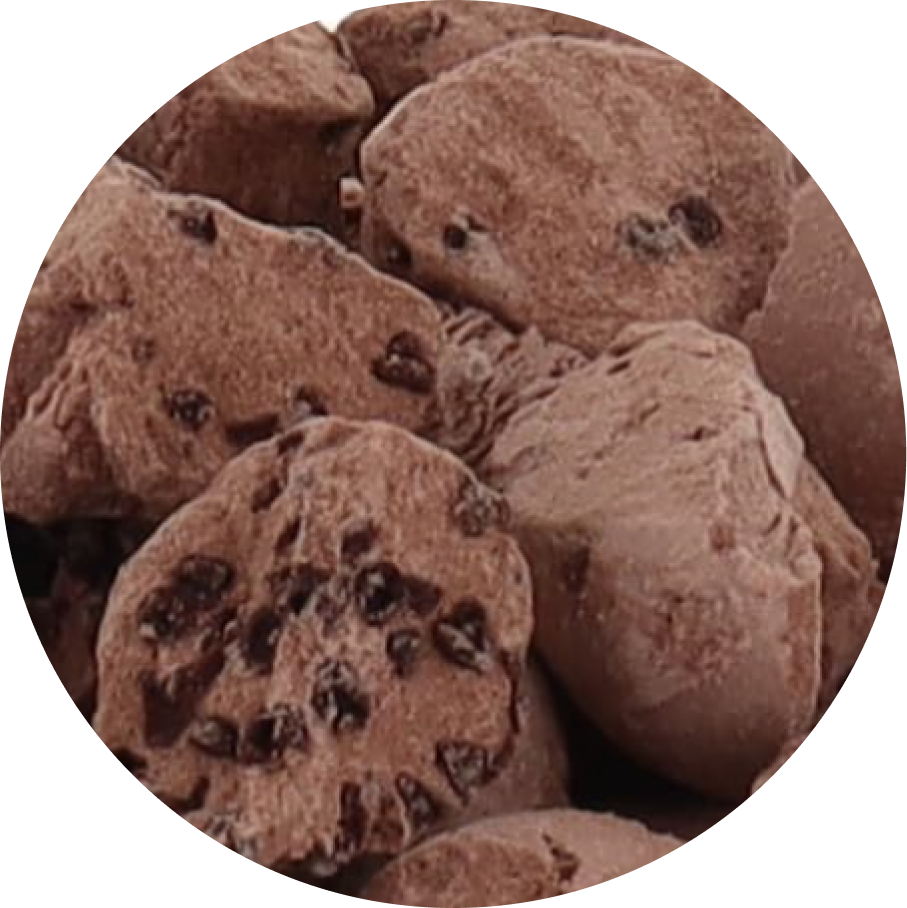 Freeze Dried Chocolate Chocolate Chip Ice Cream