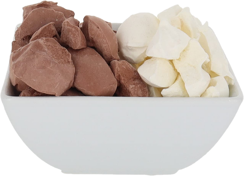 Freeze Dried Chocolate Vanilla Ice Cream