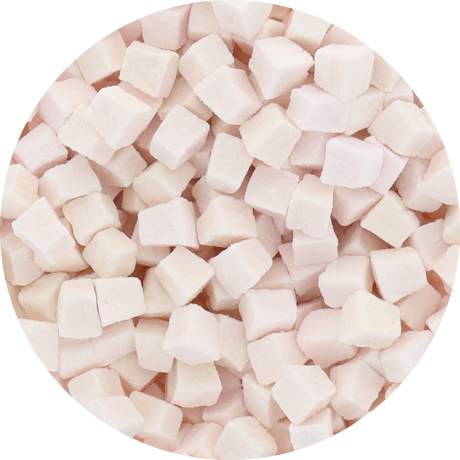 Freeze Dried Coconut