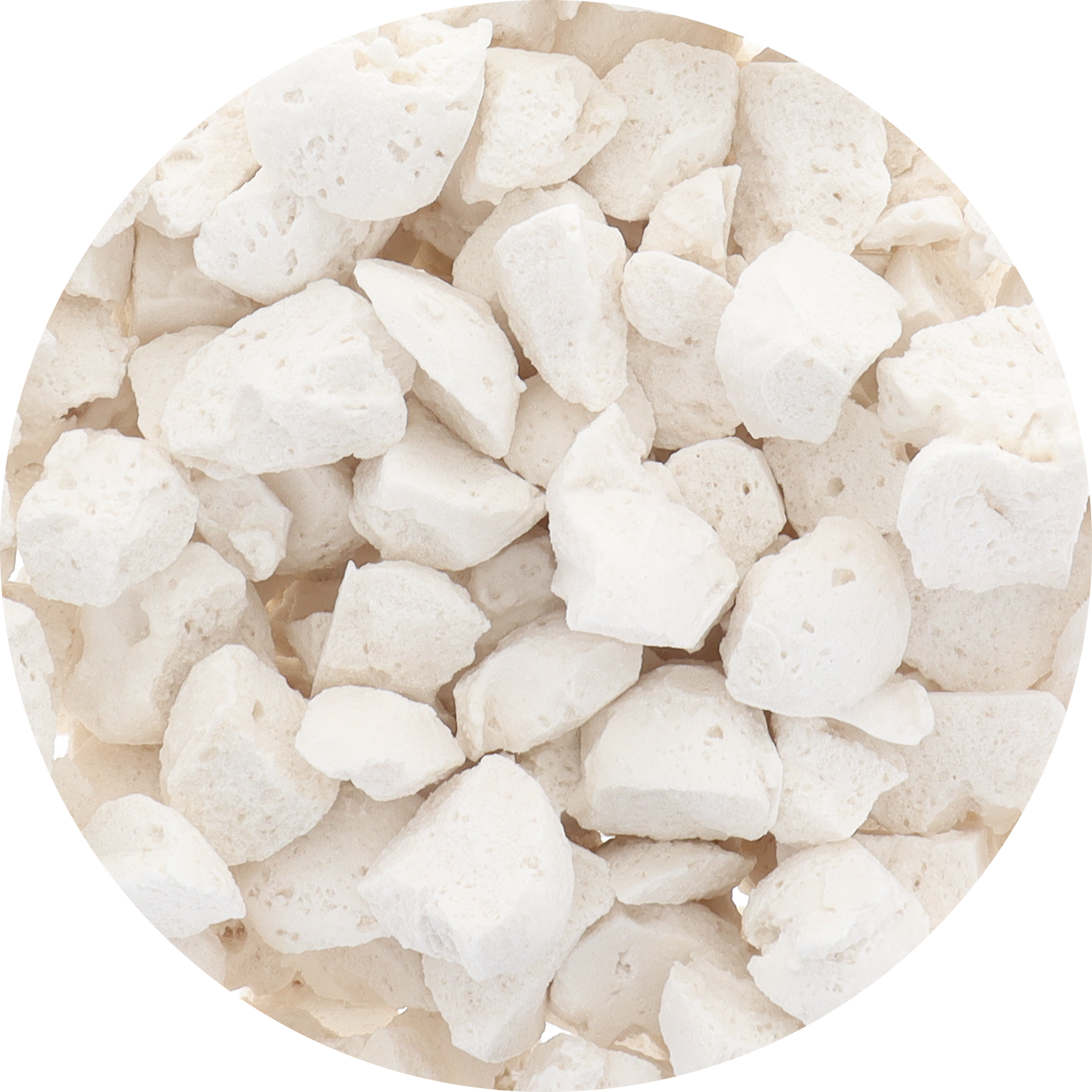 Freeze Dried Sorbet - Organic Coconut