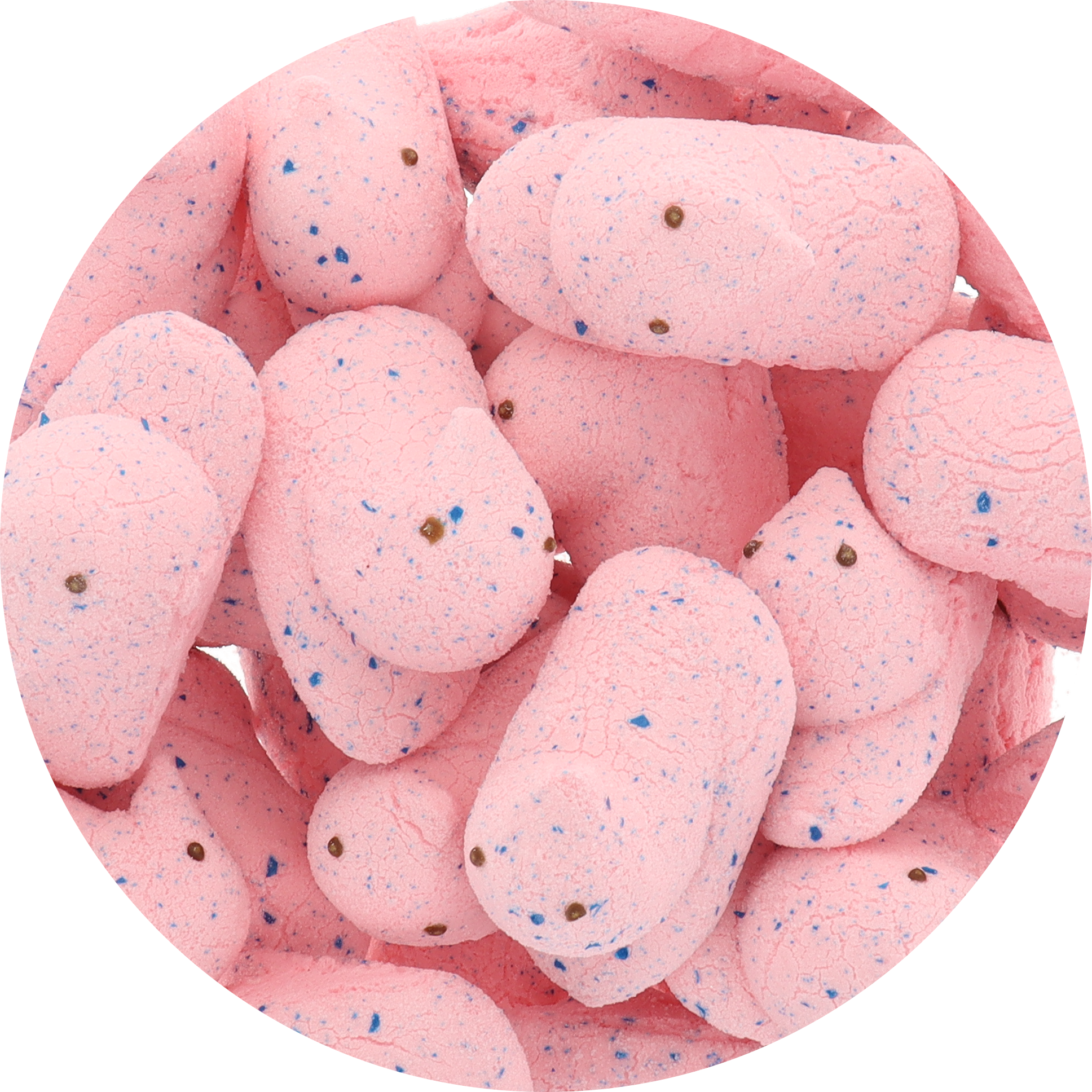 Freeze Dried Marshmallow Chicks