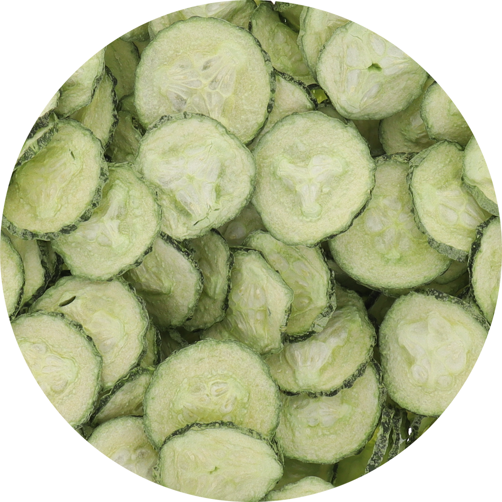 Freeze Dried Cucumber Chips Top view