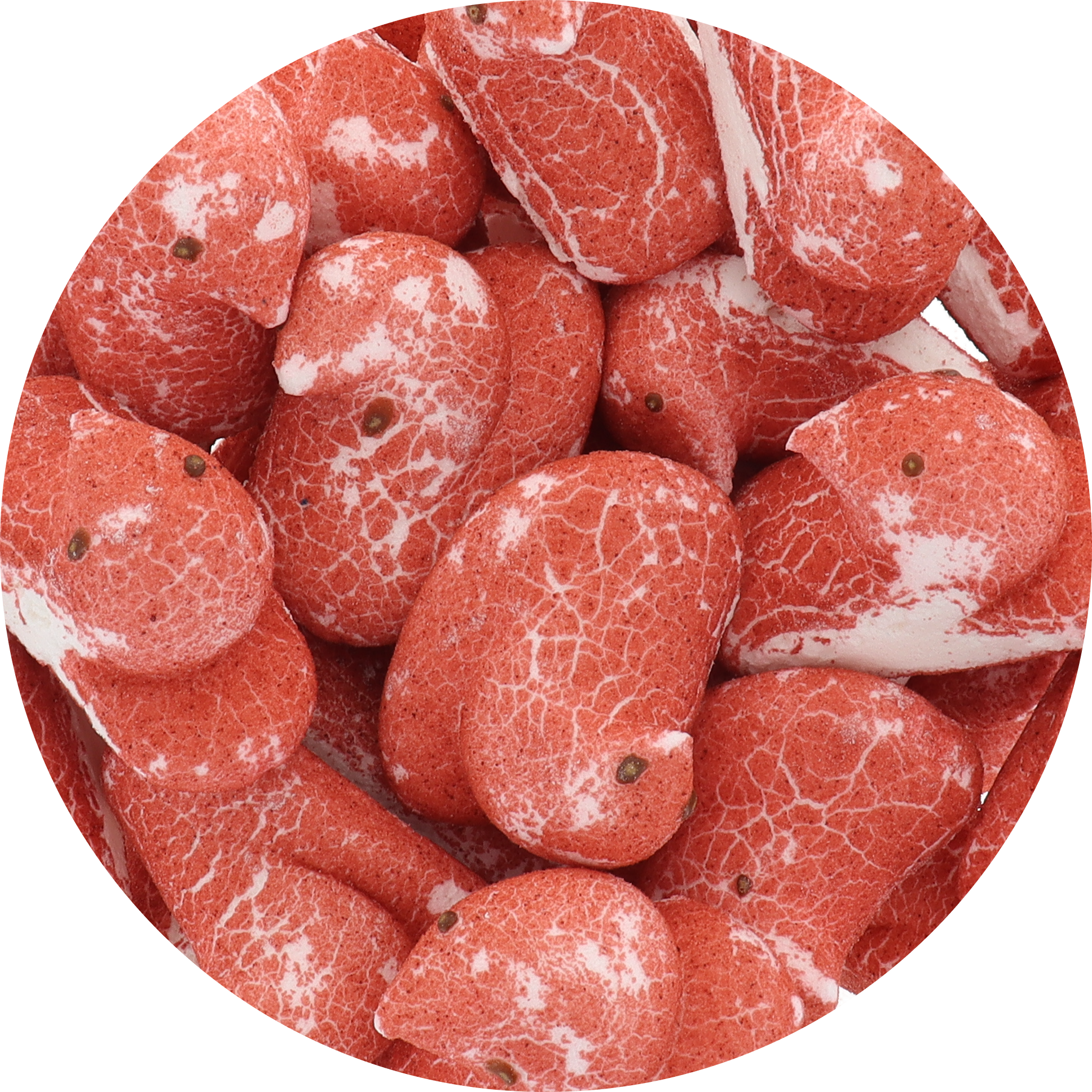 Freeze Dried Marshmallow Chicks