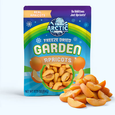 Freeze Dried Apricots — image 1 of 12