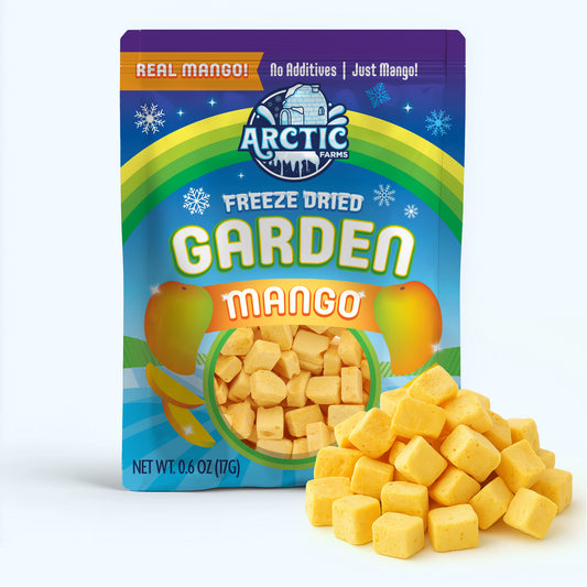 Freeze Dried Mango
