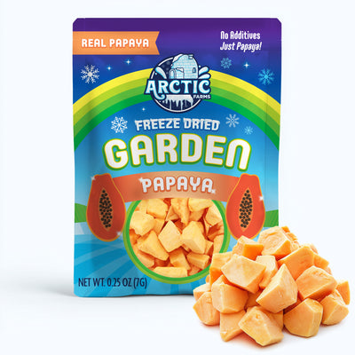 Freeze Dried Papaya — image 1 of 10