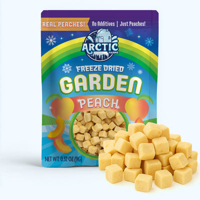 Freeze Dried Peach — image 1 of 12