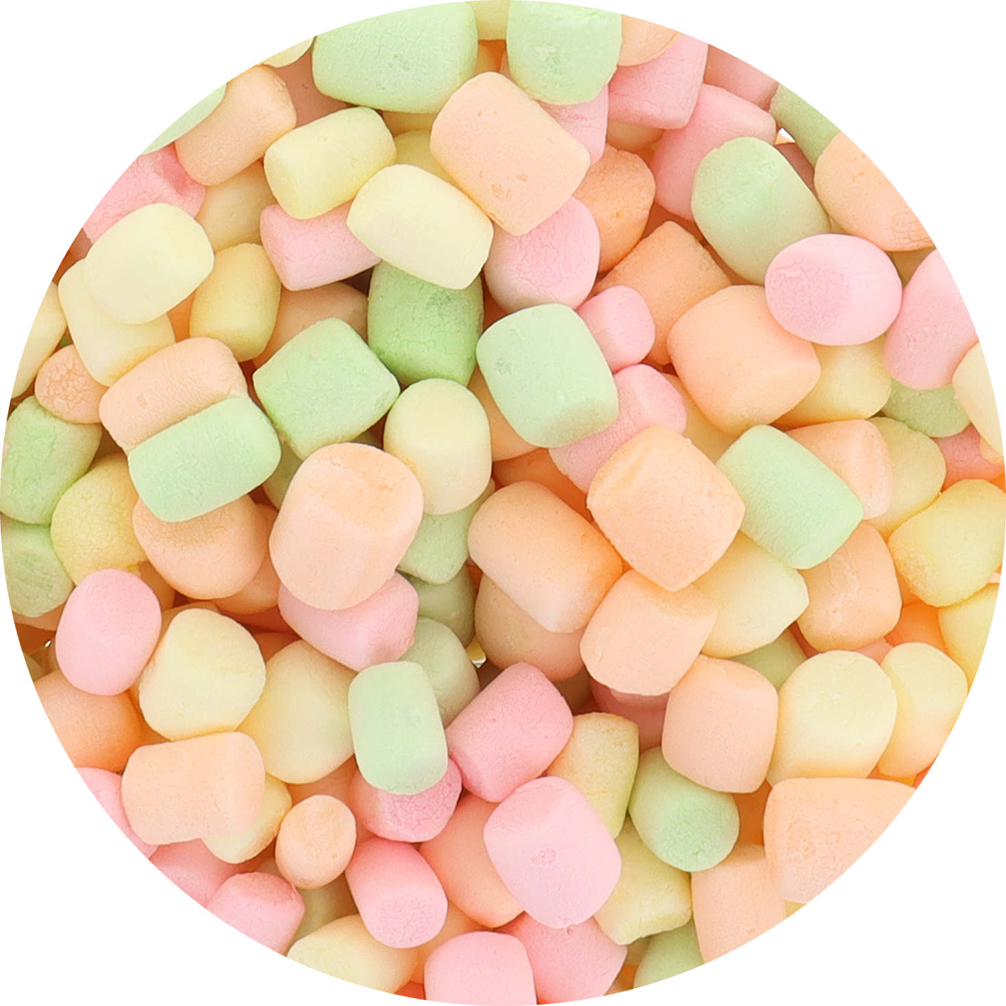 Freeze Dried Fruity-Fun Marshmallow
