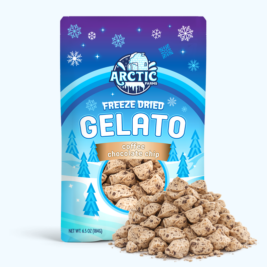Freeze Dried Gelato - Coffee Chocolate Chip