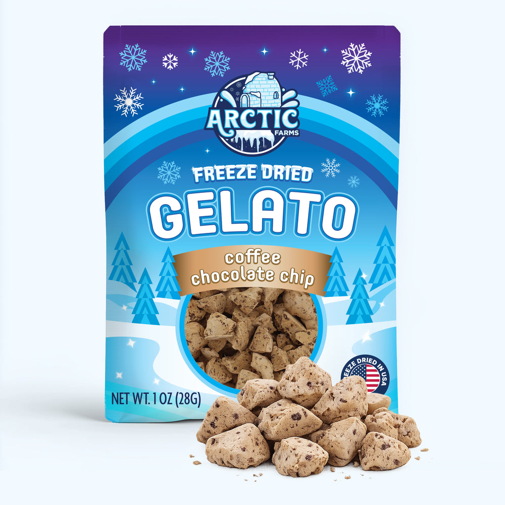 Gelato_Coffee_Chip_s_shopify.jpg
